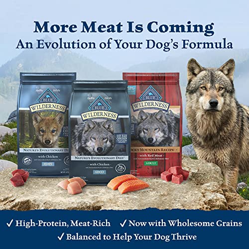  Blue Buffalo Wilderness High Protein, Natural Adult Dry Dog Food, Duck 24-lb