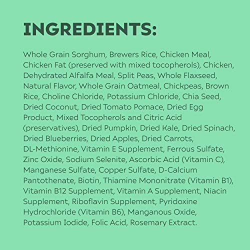  KARMA BALANCED NUTRITION Plant-First Recipe, Adult Natural Dry Dog Food With Chicken, 4 Lb. Bag