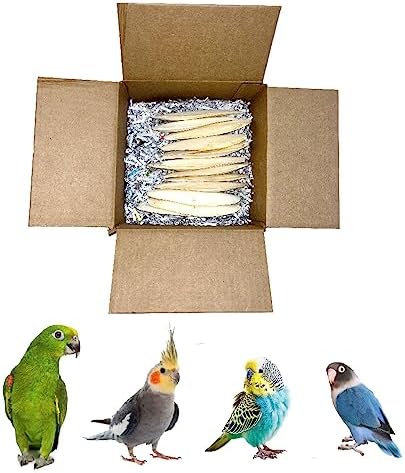  Birds LOVE Natural Cuttlebone – Premium Calcium & Trace Mineral Supplement For Avian Species, Tortoises, And Snails – Pure Cuttlebone For Parakeets, Cockatiels, And All Birds | 12 Pack Of 5 .5-6"