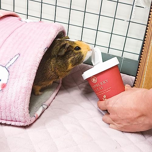  GuineaDad Organic Guinea Pig Herbal Treats - Guinea Pig Food With Convenient Packaging - Raspberry Leaf Flavor - 2-oz - Guinea Pig Treats Help With Bonding - High In Nutrition And Fiber - Large