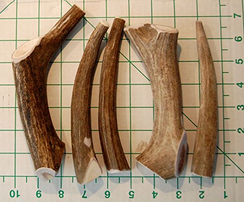  Premium Deer Antler Pieces - Dog Chews - Antlers By The Pound, One Pound - Six Inches Or Longer - Medium, Large And XL - Happy Dog Guarantee!