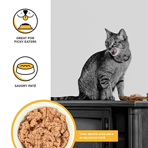  BIXBI Rawbble Tuna Pate Recipe Cans – Grain Free, Protein Rich Wet Cat Food – (2.75 Ounce Cans, Case Of 24)