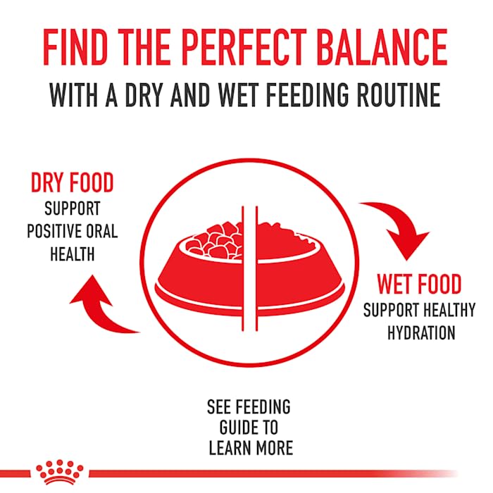  Royal Canin Large Breed Adult Dry Dog Food, 30 Lb Bag