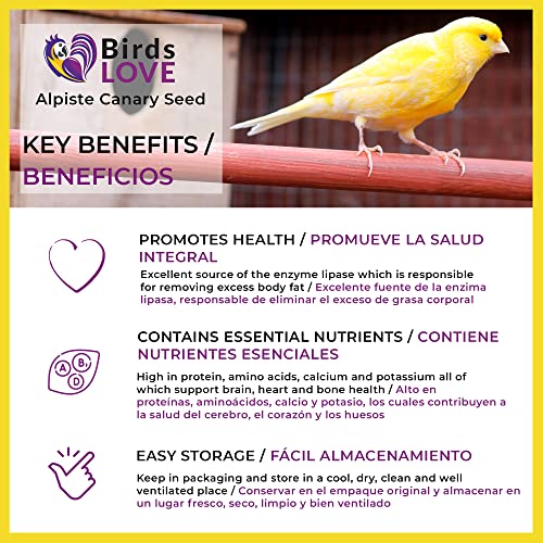  Birds LOVE Alpiste 100% Non-GMO Double Cleaned Canary Seed For Canaries And Finch Birds With No Fillers Or Additives | Bird Food Also Deal For Parakeets, Conures, And Budgies