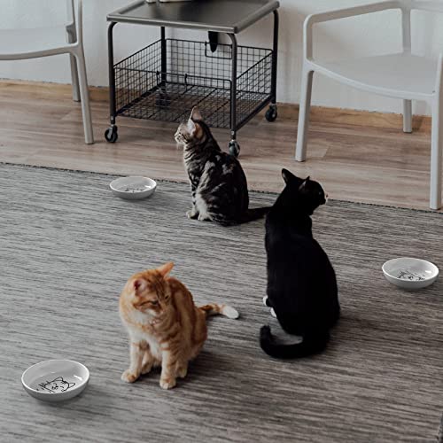  Y YHY Cat Bowls, Cat Dishes 5OZ Cat Food And Water Bowls For Dry And Wet Food 3 Set Wide Dish White Cat Bowl For Indoor Cat, Dog, Kitten, Puppy, Rabbit