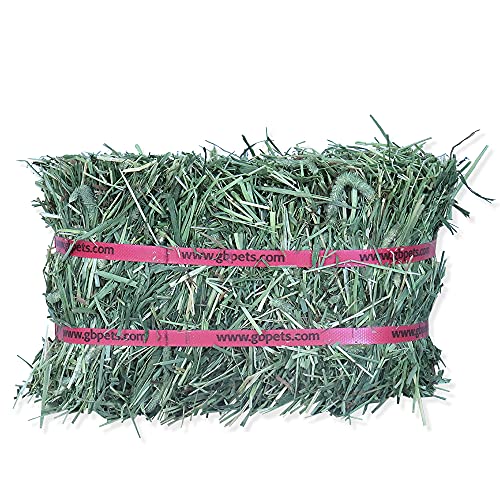  Grandpa's Best Timothy Hay Mini Bale, 10 Lbs (Packaging May Vary),Brown
