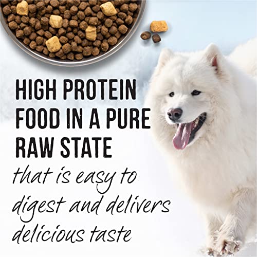  Merrick Backcountry Raw Infused Grain Free Dog Food, Big Game Recipe, Freeze Dried Dog Food - 20.0 LB Bag