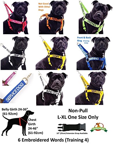  DO NOT Feed (Dog Is On A Diet/Has Food Allergies) Purple Colour Coded S-M L-XL Dog Collars Prevents Accidents By Warning Others Of Your Dog In Advance (L-XL)