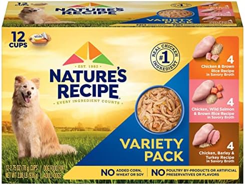  Nature's Recipe Wet Dog Food, Chicken & Wild Salmon In Broth Recipe, 2.75 Ounce Cup (Pack Of 12)