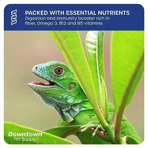 Downtown Pet Supply 2 LB Dried Mealworms For Wild Birds, Poultry, Reptiles, And Small Mammals Rich In Vitamin B12, B5, Protein, Fiber, Omega 3 Fatty Acids - Great As Mealworms For Chicken