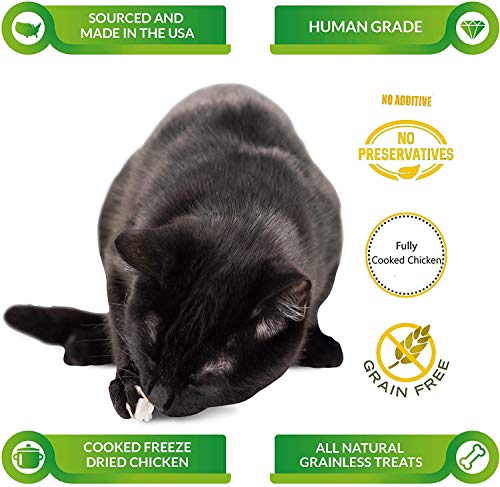  Cat-Man-Doo Life Essentials All Natural Freeze Dried Chicken Crushed Sprinkles Powder For Dogs & Cats - No Fillers, Preservatives, Or Additives - No Grain Tasty Treat -Made In USA (5 Oz Bag)