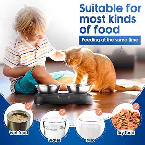  2 Pack Elevated Tilted Cat Bowls Stainless Steel Raised Cat Food And Water Bowl Set 0 And 15° Tilted Pet Cat Feeder Anti Vomit Cat Dishes With Stand For Indoor Cats Kitten Puppy Dogs