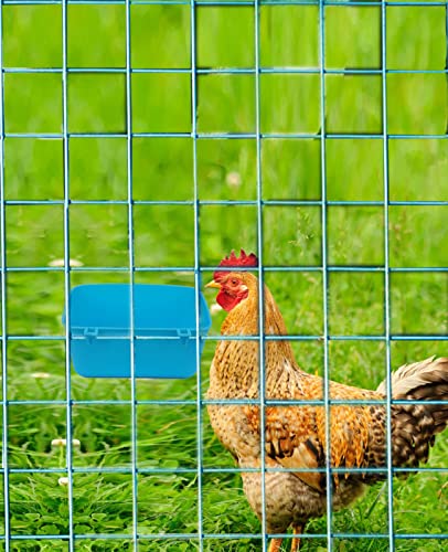  AMZSYLV 6 Pack Feeder Waterer Chicken 21 Oz Food Water Cage Cups Puppy Cat Rabbit Hanging Feeding Dish Coop Bowl Watering Container Treats Drinker For Pigeon Bird Bath Basin Hamster Bed