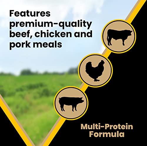  Victor Super Premium Dog Food – Multi-Pro Dry Dog Food – Gluten Free Dog Food With Beef, Chicken And Pork Protein For Normally Active Dogs – All Breeds And All Life Stages, 5 Lb