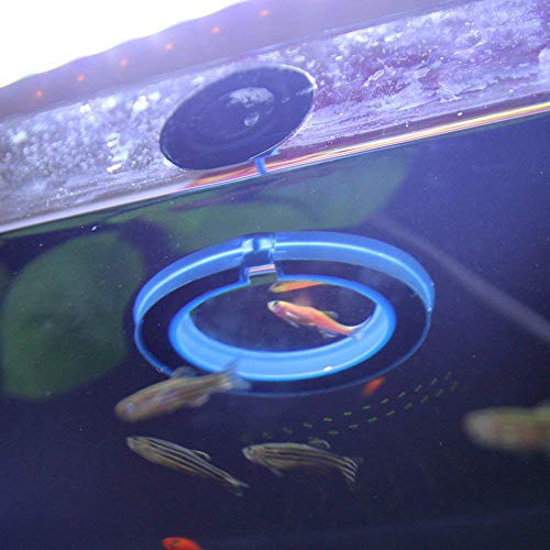  NGe 5Pcs Round Square Cone Fish Feeder Set, Floating Food Feeding Ring, Live Red Worm Feeder Funnel Plate, With Suction Cups (Black)