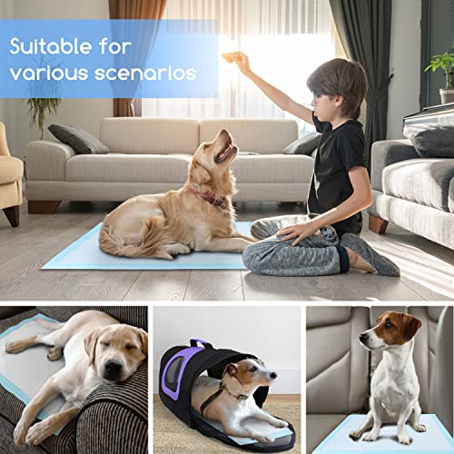  Nobleza Puppy Pads Pet Training Pads, Extra Large 28"×34" Super Absorbent Pee Pads For Dogs, Leak-Proof 5-Layer Dog Training Pads With Quick-Dry Surface For Potty Training, 60 Count