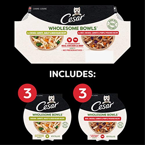  CESAR WHOLESOME BOWLS Adult Soft Wet Dog Food Toppers Variety Pack, Chicken, Carrots, Barley & Green Beans Recipe And Beef, Chicken, Purple Potatoes & Carrots Recipe, (6) 3 Oz. Bowls