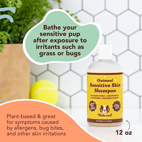  Natural [Dog] Company Oatmeal Sensitive Skin Shampoo, 12 Oz., Dandruff Shampoo, Hypoallergenic, Plant Based Ingredients, Bathing Supplies, Itchy [Skin] Relief For [Dog]s