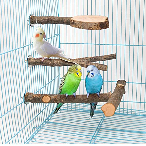  JYDQM 3Pcs/Set Bird Toy T-Shaped Wooden Bird Perches Parrot Stand Playstand Play Toys For Budgie