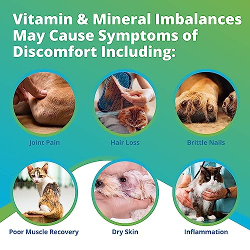  5Strands Pet Nutrition Deficiency Test, 40 Vitamins And Minerals Tested, At Home Dog Or Cat Hair Sample Collection Kit, Results In 7 Days, Works For All Ages And Breeds - Supplements, Diet