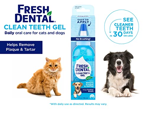  Naturel Promise Fresh Dental Clean Teeth Gel, 4 Fl Oz - Easy To Use Pet Dental Gel That Helps Remove Plaque, Tartar, And Freshen Breath-No Brushing Pet Oral Care For Dog Dental Care, Cat Dental Care