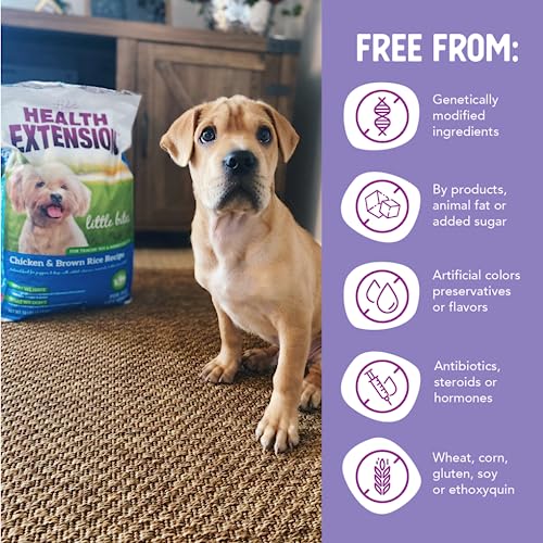 Health Extension Little Bites Weight Control Dry Dog Food, Grain-Free, Natural Food For Overweight Adult Dogs With Added Vitamins & Mineral, Include Lite Chicken & Brown Rice Recipe (4 Lbs)