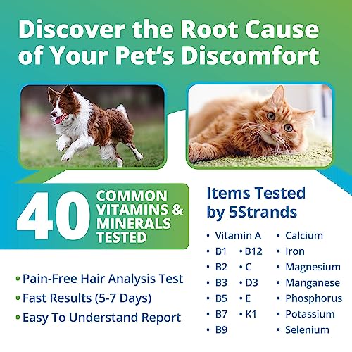  5Strands Pet Nutrition Deficiency Test, 40 Vitamins And Minerals Tested, At Home Dog Or Cat Hair Sample Collection Kit, Results In 7 Days, Works For All Ages And Breeds - Supplements, Diet