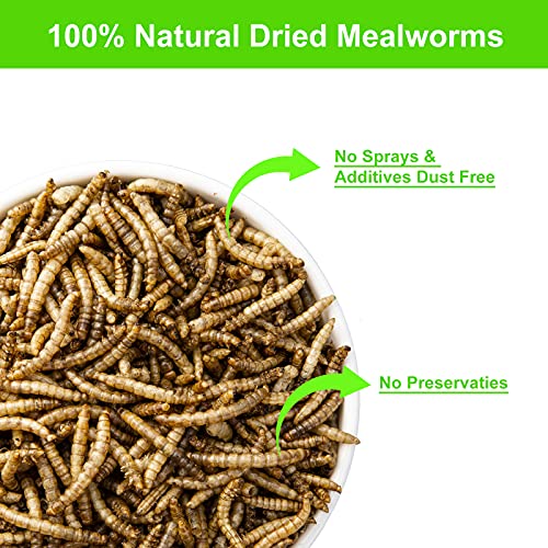  RANZ 5LBS Bulk Non-GMO Dried Mealworms For Chickens, High In Protein Mealworm Treats, Best For Wild Birds, Ducks, Hens, Fish, Turtle, Hedgehog, Hamster, Reptiles & Amphibian.