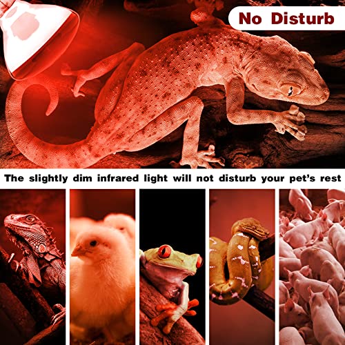  Hypool Heat Lamp Red Infrared Light Bulbs PAR38 250 Watts Fits E26 E27 Base 250W As Chickens Brooder Heat Light For Multi-Application Scenario(250W)