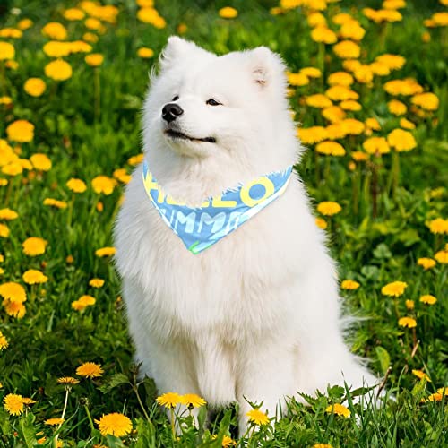  2 Pack Adjustable Dog Bandana,Soft Washable Triangle Bib Hello Summer Cute Food Ice Cream Pineapple Kerchief Scarfs For Small Medium Large Dogs And Cats