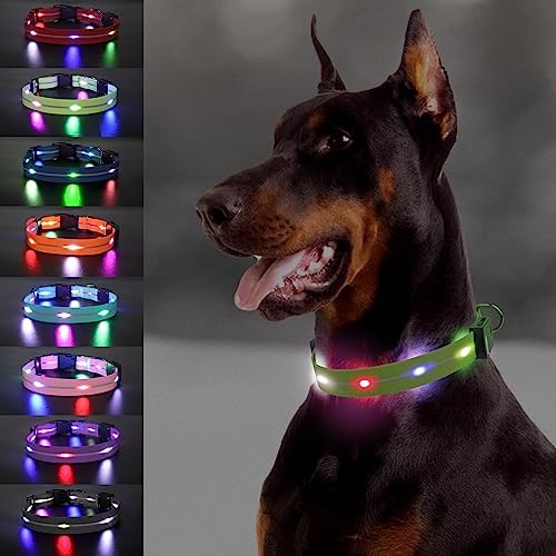  Joytale Light Up Dog Collars Rechargeable, High Visibility LED Dog Collar for Pet Night Walking, 3 Flash Modes, Rainproof PVC Glow Collar Adjustable for Small Medium Large Dogs, Teal, L