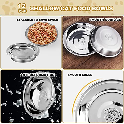  12 Pcs Stainless Steel Cat Bowls Shallow Cat Food Bowls, Replacement Whisker Fatigue Relief Cat Food Dish Bulk For Elevated Stand, Metal Food And Water Dish For Small Dogs And Cats (5.5 Inch Diameter)