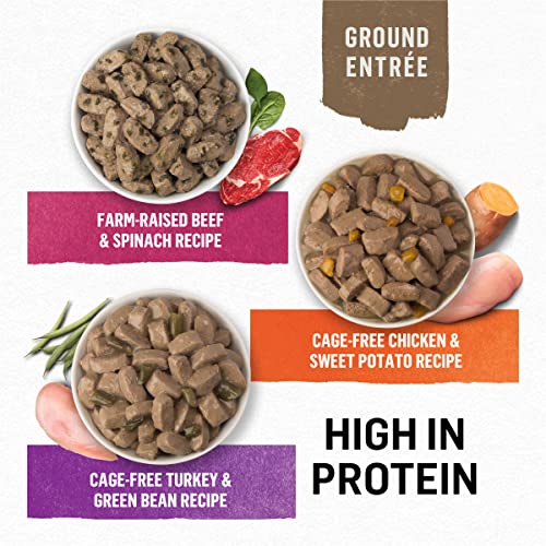 Purina Beyond Gravy, Beef, Chicken Or Turkey In Gravy Ground Entree Grain Free Wet Dog Food Variety Pack