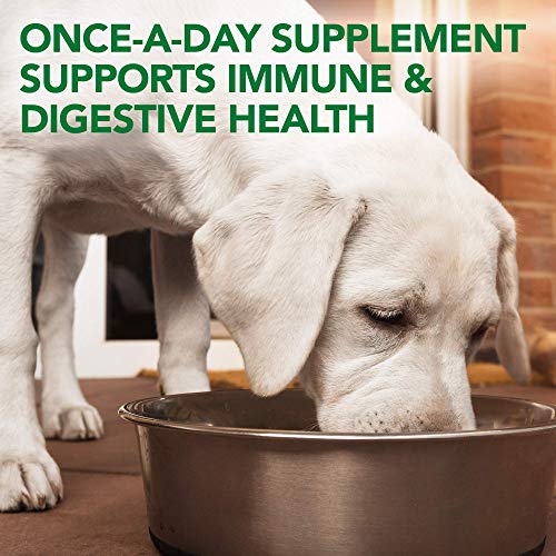  Vet's Best Probiotic Soft Chews Dog Supplements | Supports Dog Digestive Health | Promotes A Healthy Gut | 30 Day Supply