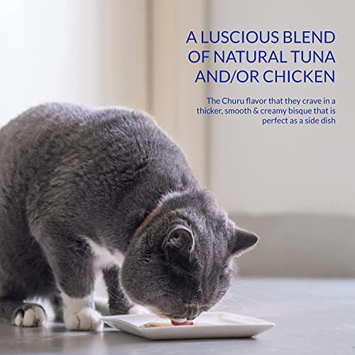  INABA Churu Bisque Lickable Treats For Cats, Creamy Purée Bisque With Vitamin E & Green Tea Extract, 1.4 Ounces Per Pouch, (48 Servings), Chicken With Beef Recipe