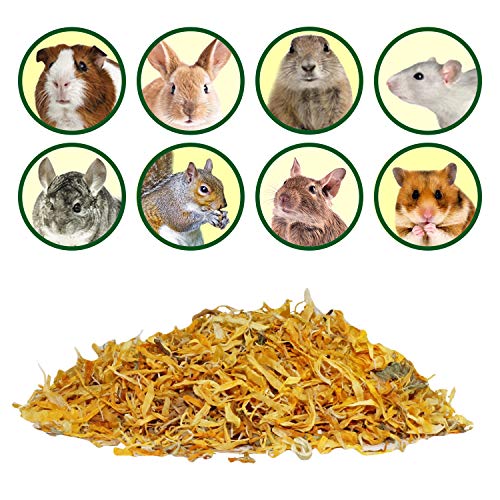  Calendula Flower Treat (4 Oz.) - Healthy Natural Dried Flower Herbivore Treat - Chinchillas, Guinea Pigs, Rabbits, Prairie Dogs, Degus, Hamsters, Rats, Squirrels, Sugar Gliders & Other Small Pets