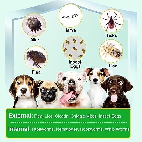  Flea & Tick Prevention For Dogs Chewable, Natural Flea And Tick Supplement For Dogs, 150 Flea And Tick Chews For Dogs, Oral Flea Pills For All Breeds And Ages Dogs