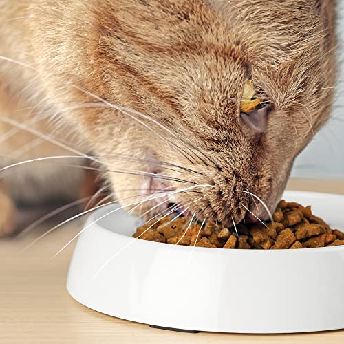  CatGuru Cat Bowls, Whisker Stress Free Food Bowl, Reliefs Fatigue, Wide Non Slip Shallow Dish, Feeding & Watering Supplies (Set Of 2, Marshmallow)