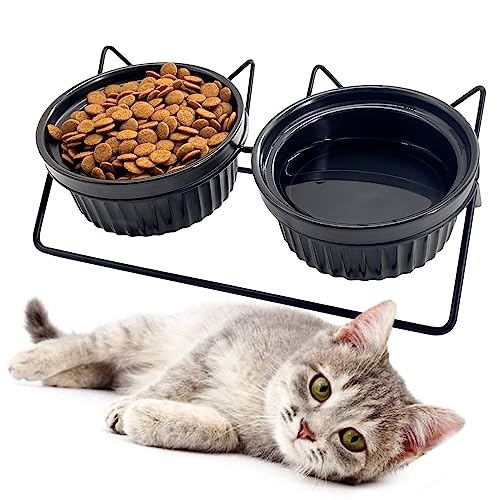  XINGTS Elevated Cat Bowls,Ceramic Raised Cat Food Bowl,15°Tilted Cat Feeding Bowls Elevated,Anti Vomiting Cat Bowls For Indoor Cats,Perfect For Cat And Small Dog Food And Water Bowl Dishes Set