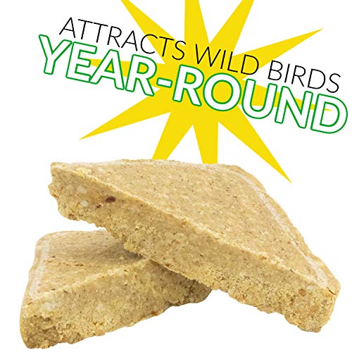  C&S Wild Bird Peanut Suet Treat, 56 Ounces, 6 Pack
