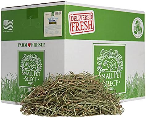  Small Pet Select 3rd Cutting Super Soft Timothy Hay Pet Food For Picky Eaters, Rabbits, Guinea Pigs, And Other Small Animals, Easy To Store Box, 10 LB