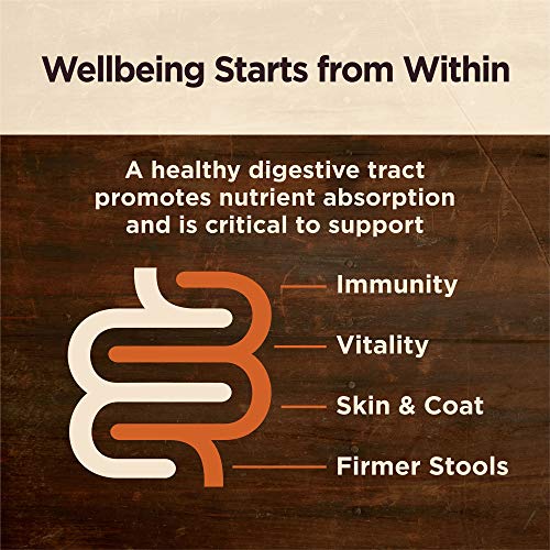  Wellness CORE Digestive Health Dry Senior Food With Wholesome Grains, Advanced Age For Dogs Over 7-Years Old, For Dogs With Sensitive Stomachs, Made In USA With Real Chicken (Senior, 24-Pound Bag)