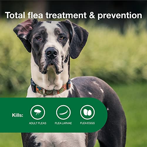  Advantage II XL Dog Vet-Recommended Flea Treatment & Prevention | Dogs Over 55 Lbs. | 4-Month Supply