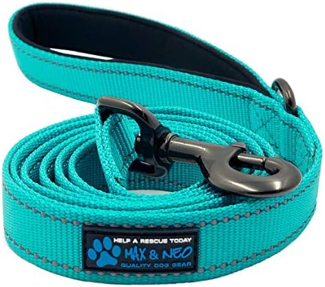  Max And Neo Reflective Nylon Dog Leash - We Donate A Leash To A Dog Rescue For Every Leash Sold (Purple, 4x1)