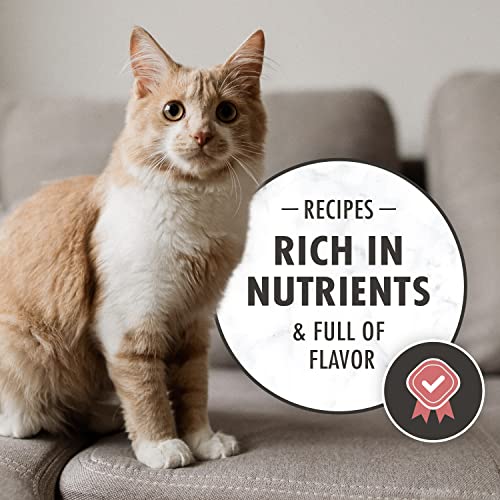  NUTRO WHOLESOME ESSENTIALS Adult Natural Dry Cat Food Salmon & Brown Rice Recipe, 14 Lb. Bag