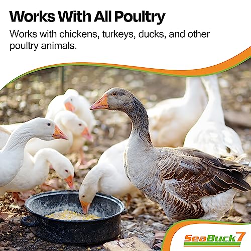  SeaBuck 7 Chicken & Bird Supplement With Sea Buckthorn To Improve Egg Quality (1-Month Supply For 20 Chickens) – Earlier Laying, Egg Production Booster & Higher Quality Eggs