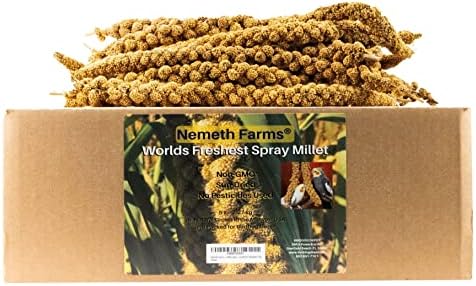  Nemeth Farms Worlds Freshest GMO-Free No Pesticide Sun Dried Spray Millet No Stems Only Edible Tops-Original Bird Treat And Supplement For Pet Birds Parakeets, Cockatiels, Lovebirds And Finches-5lbs