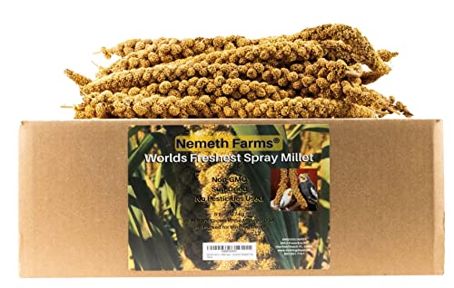  Nemeth Farms Worlds Freshest GMO-Free No Pesticide Sun Dried Spray Millet No Stems Only Edible Tops-Original Bird Treat And Supplement For Pet Birds Parakeets, Cockatiels, Lovebirds And Finches-5lbs
