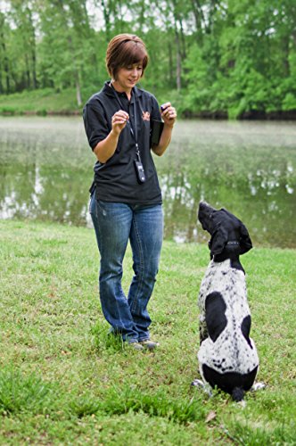  DT Systems IDT-Plus Micro Dog Trainer Collar Receiver And Transmitter, Black, X-Small (10 Lbs Or Less) (IDT Plus)