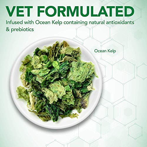  Vet's Best Probiotic Soft Chews Dog Supplements | Supports Dog Digestive Health | Promotes A Healthy Gut | 30 Day Supply